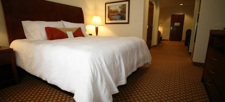 埃尔克哈特希尔顿花园酒店(Hilton Garden Inn Elkhart)图片