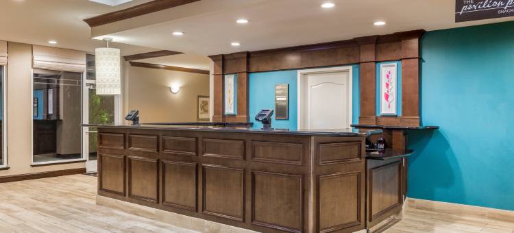 盖恩斯维尔希尔顿花园酒店(Hilton Garden Inn Gainesville)图片