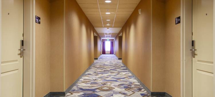 希尔顿欢朋套房酒店-芒廷霍姆(Hampton Inn & Suites Mountain Home)图片