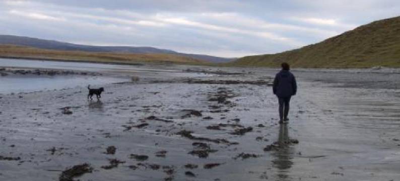 "Balmoral View"图片