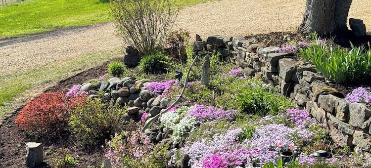 Scenic Views on 20 Acres! the Family Cabin Awaits. Sleeps 10图片