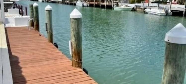 RITA'S PARADISE 37.5' DOCK-Cabana Club-TIKI HUT-Screen Porch-ICE MAKER-Bait Frez图片