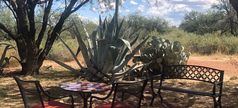 Ranchito Paraiso: Artsy Farm Stay in the Desert图片