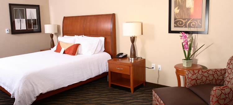 切萨皮克萨福克希尔顿花园酒店(Hilton Garden Inn Chesapeake/Suffolk)图片