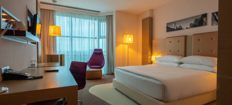 奥拉迪亚希尔顿逸林酒店(DoubleTree by Hilton Oradea)图片