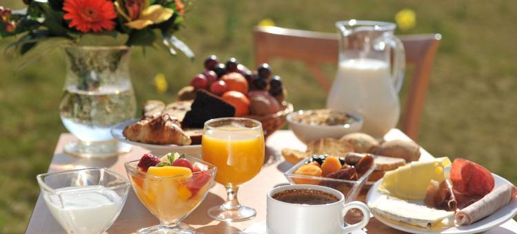 沙托丹布里特酒店(Brit Hotel Châteaudun)图片