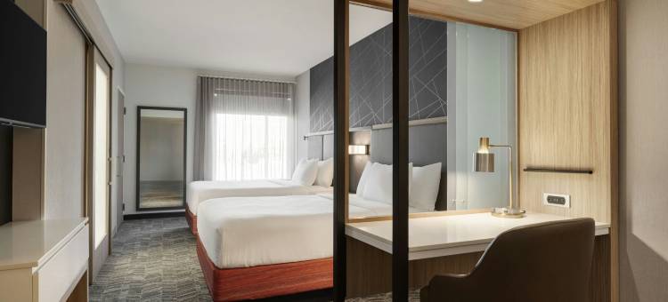 伊斯顿SpringHill Suites 酒店(SpringHill Suites Easton PA)图片