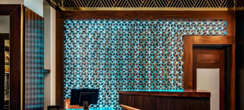 辛克莱傲途格精选酒店(The Sinclair, Autograph Collection)图片