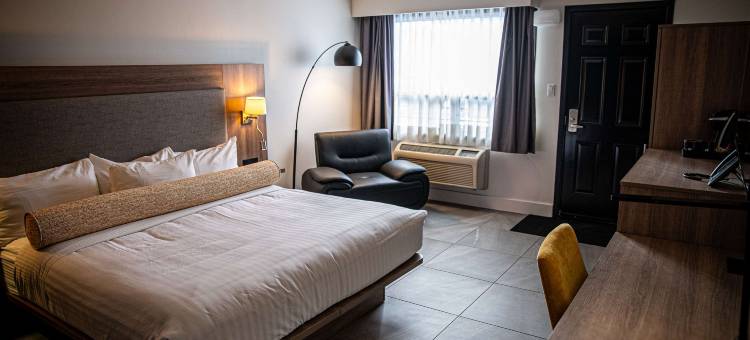 诺兰达酒店及水疗中心, 凯悦臻选酒店(Le Noranda Hotel & Spa, Ascend Hotel Collection)图片