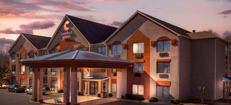 北区医院格威纳特舒适套房酒店(Comfort Suites Northside Hospital Gwinnett)图片