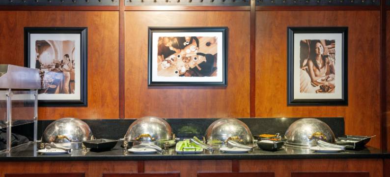 Holiday Inn 芝加哥OAKBROOK(Holiday Inn CHICAGO OAKBROOK by IHG)图片