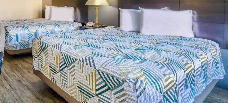 伊利诺伊埃芬汉 6 号汽车旅馆(Motel 6 Effingham, IL)图片