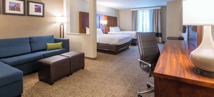 舒适套房酒店-近丹佛安舒茨医学院(Comfort Suites Denver Near Anschutz Medical Campus)图片