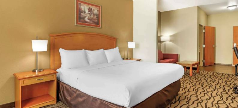 切萨皮克朴茨茅斯舒适套房酒店(Comfort Inn & Suites Chesapeake - Portsmouth)图片