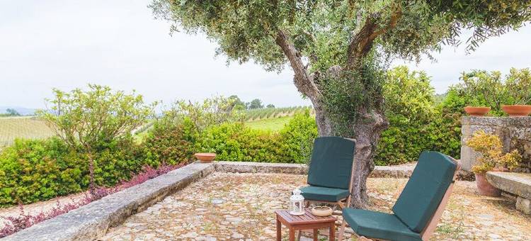 巴洛卡农场度假屋(Quinta da Barroca Douro Valley)图片
