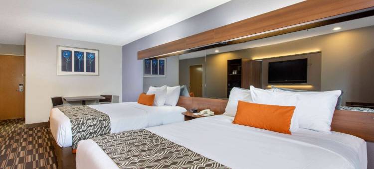 Microtel Inn & Suites by Wyndham Philadelphia Airport图片