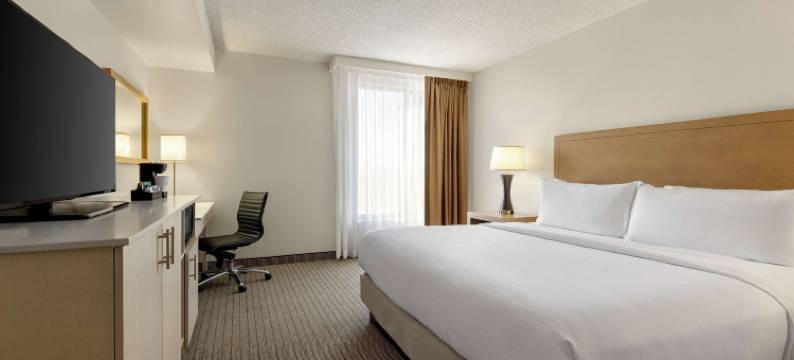 丹佛国际机场希尔顿大使套房酒店(Embassy Suites by Hilton Denver International Airport)图片