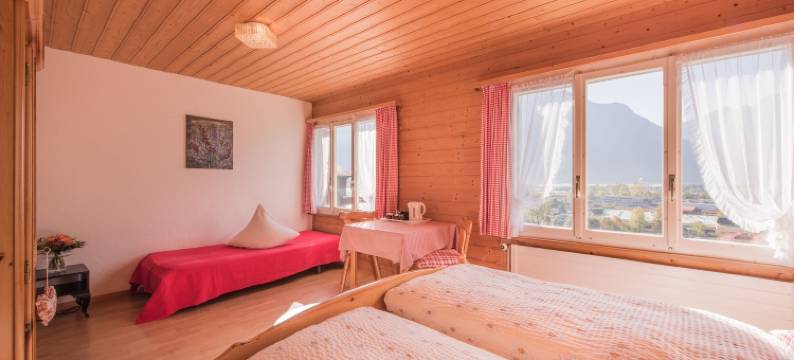 施因尼格客栈酒店(Gasthof Schoenegg B&B)图片