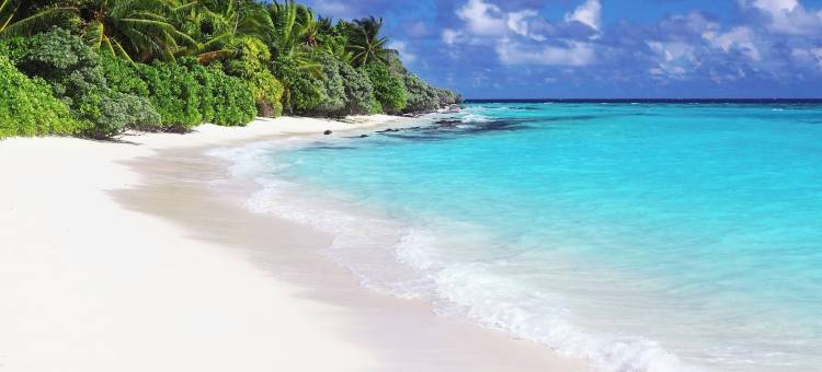 图杜岛酒店(Ahola Thoddoo, Maldives)图片