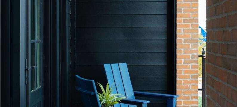 紫马丁(The Purple Martin - the Perch)图片