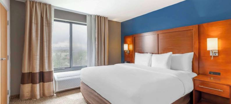 朗蒙特舒适全套房酒店(Comfort Suites Longmont)图片