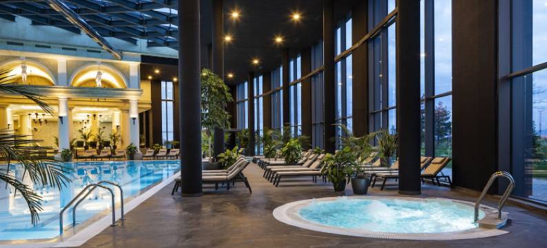 国王谷医疗&温泉酒店(Kings' Valley Medical & Spa Hotel)图片