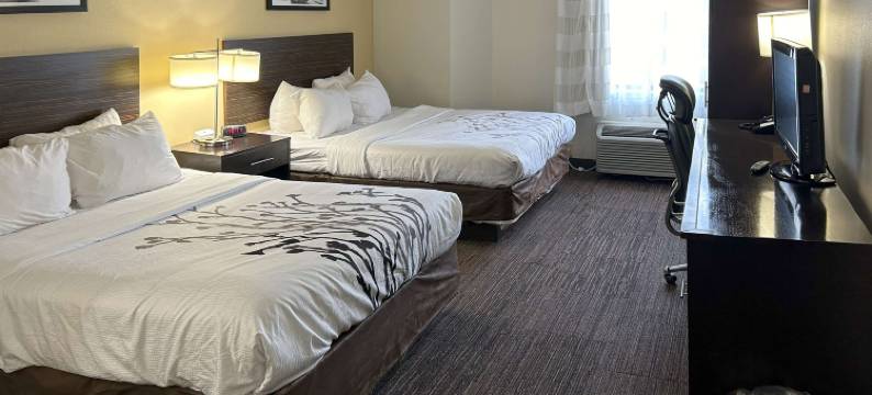 威尔逊I-95 附舒眠酒店(Sleep Inn Wilson Near I-95)图片