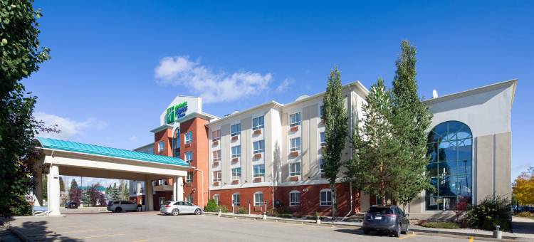 智选假日套房酒店埃德森(Holiday Inn Express & Suites EDSON by IHG)图片