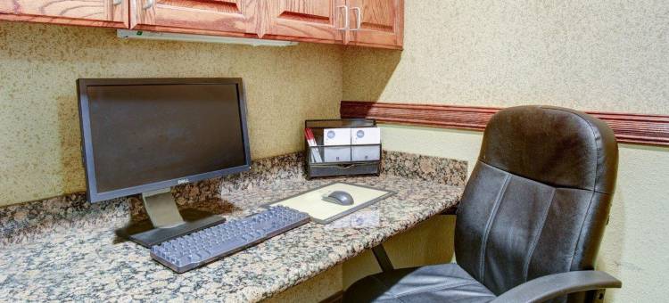 大学路舒适套房酒店(Comfort Suites University Drive)图片