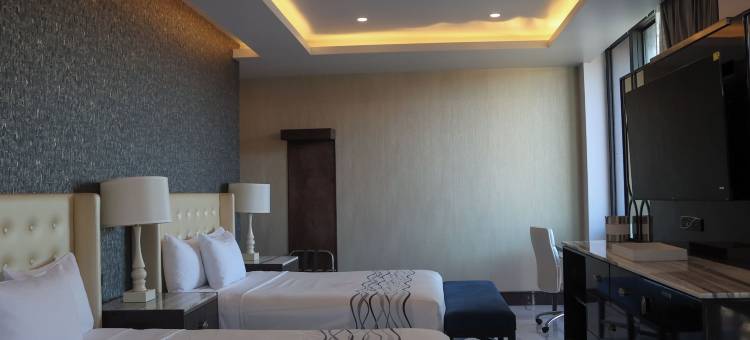 威灵顿酒店(Hotel Wellintown)图片