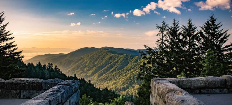 凯艺套房酒店-多雷伍道(Quality Inn & Suites at Dollywood Lane)图片