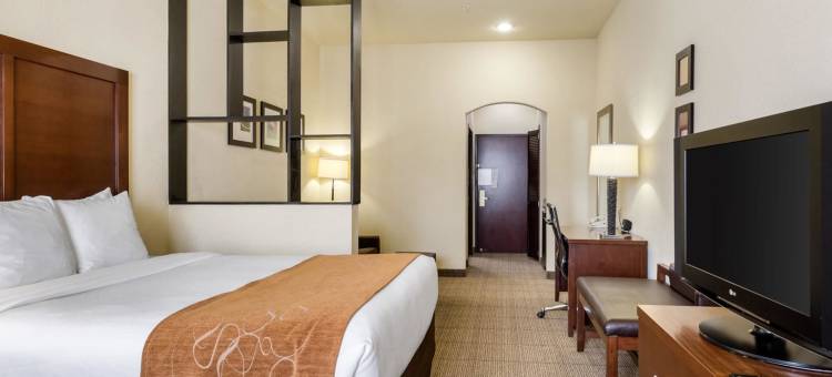 克利尔莱克舒适套房酒店-近NASA(Comfort Suites Near NASA - Clear Lake)图片