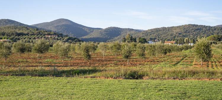 Castiglione土地农家乐(Agriturismo Terre di Castiglione)图片