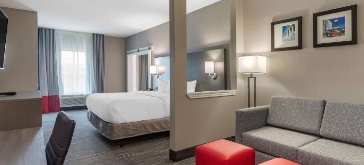 舒适套房酒店(Comfort Inn & Suites)图片