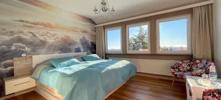 Berghotel Hohegeiß酒店(Berghotel Hohegeiß)图片