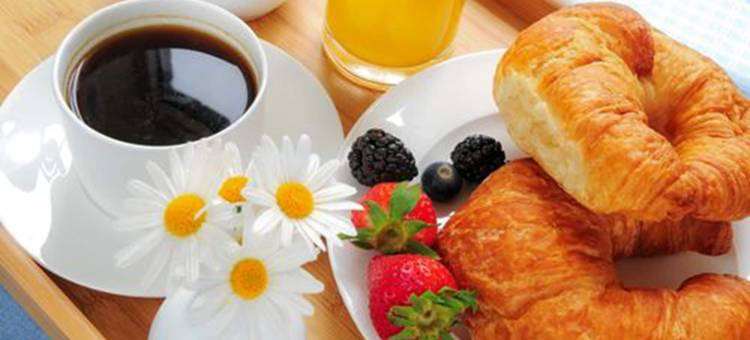 温特图尔广场酒店(Plaza Hotel Winterthur)图片