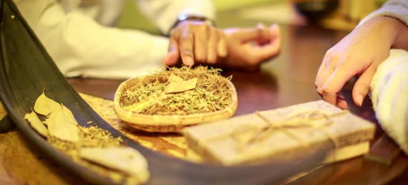 豪斯公园酒店(Hotel Haus am Park)图片