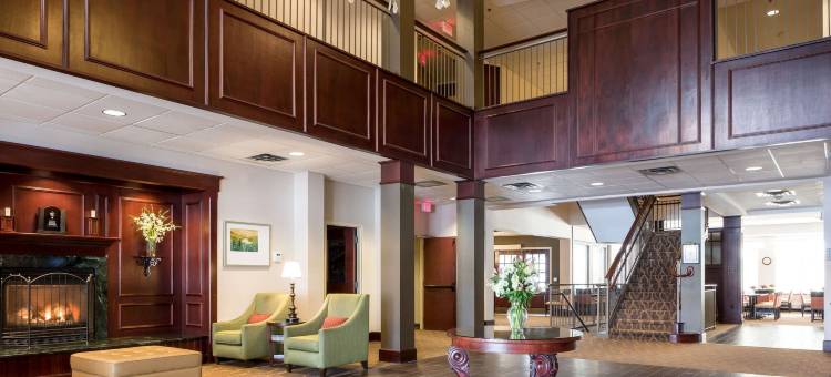 舒适套房酒店-近伯克山(Comfort Inn & Suites Near Burke Mountain)图片