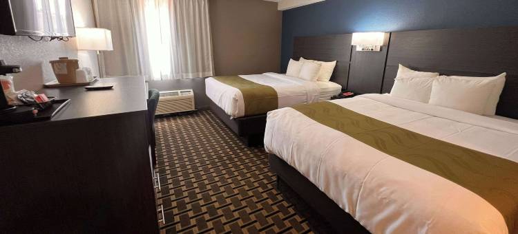 路易斯维尔东品质套房酒店(Quality Inn & Suites Louisville East)图片