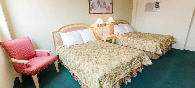旧金山伊拉普阿托商务酒店(Hotel San Francisco Irapuato Business Class)图片