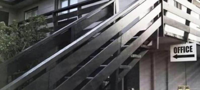 塞斯塔汽车旅馆(Siesta Motel)图片