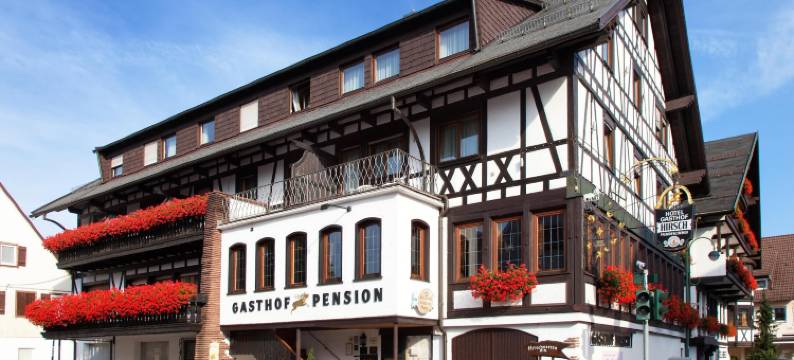 赫希兰德加斯霍夫酒店(Landgasthof Hotel Hirsch)图片