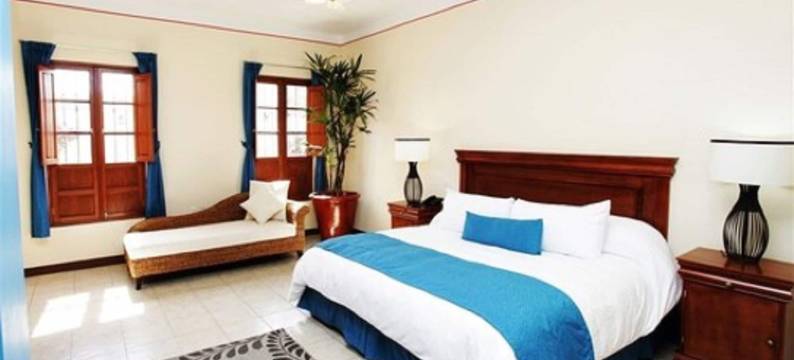 卡萨萨尤拉画廊＆SPA大酒店(Gran Casa Sayula Galeria & Spa)图片