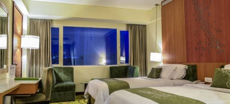 艾莉森大酒店(Grand Allison)图片