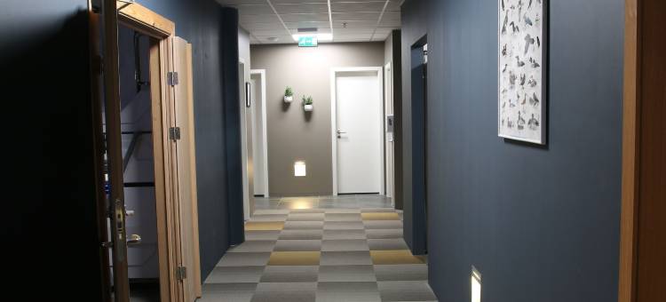 哈纳斯特拉蒂旅舍(Hafnarstræti Hostel)图片