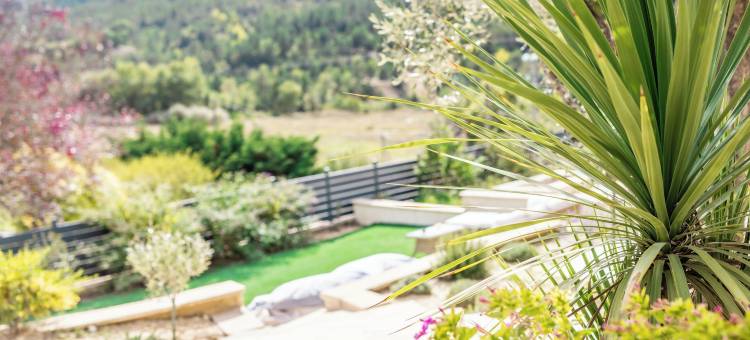 普雷法萨尔领地(Domaine de Prefaissal)图片