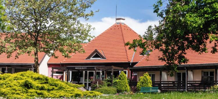 河谷贵族酒店(Hôtel Restaurant la Vallée Noble, Proche Eguisheim Colmar)图片
