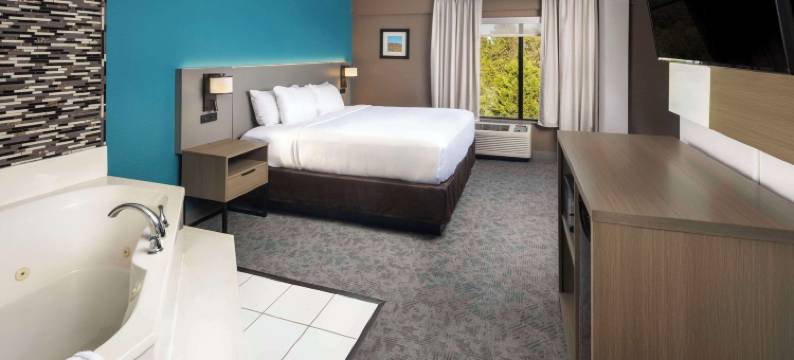 达洛尼加大学区舒适套房酒店(Comfort Inn & Suites Dahlonega University Area)图片