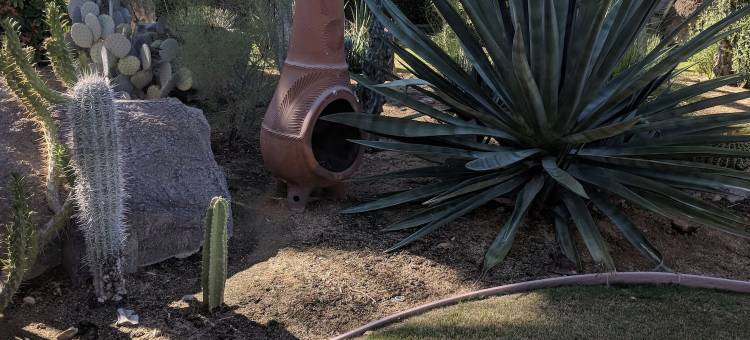 棕榈泉沙漠岛(Desert Isle of Palm Springs)图片