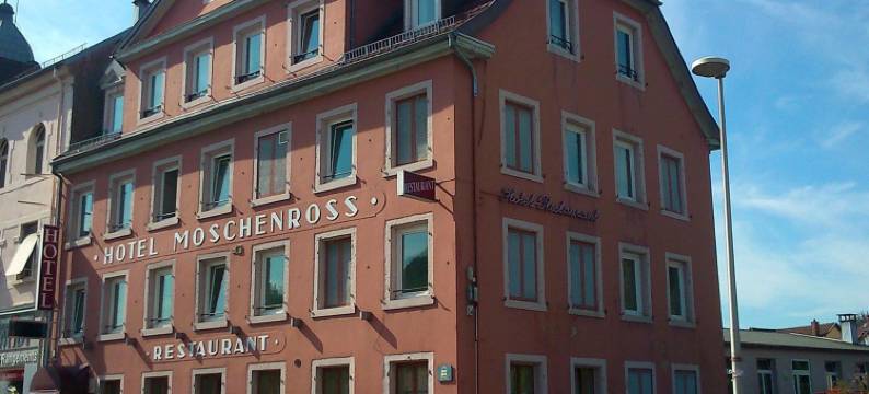 莫兴罗斯餐厅酒店(Hôtel Restaurant le Moschenross)图片